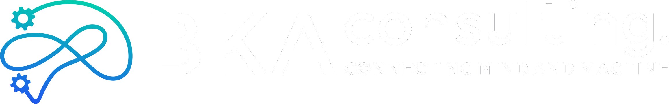 BKA Consulting